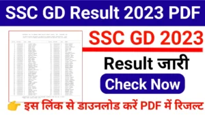 SSC GD Result 2023 Direct Link