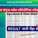 Jharkhand Combined Entrance Competitive Exam Result 2024